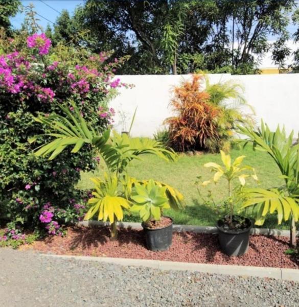 Jolie Maison T3 A St Pierre, 2 Chambres Avec Sdb, Grande Varangue, Jardin Saint Pierre Ngoại thất bức ảnh
